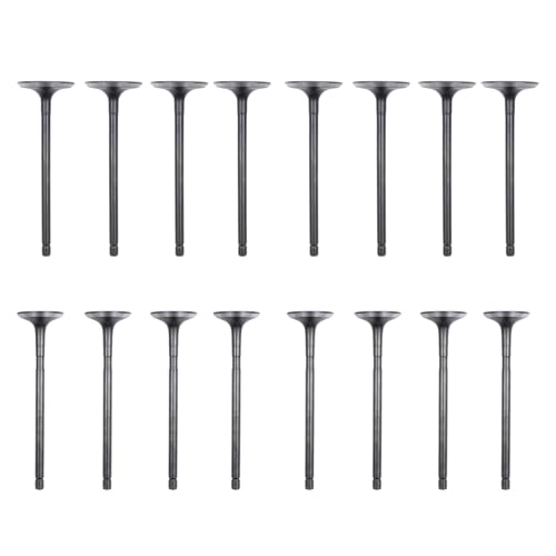 ApplianPar 16Pcs Engine Intake Valve and Exhaust Valve for Hyundai
