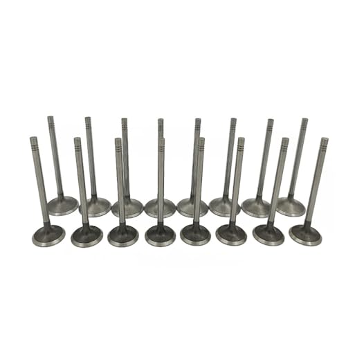 Lskioer Intake Exhaust Valves, 16Pcs Engine Intake & Exhaust Valves